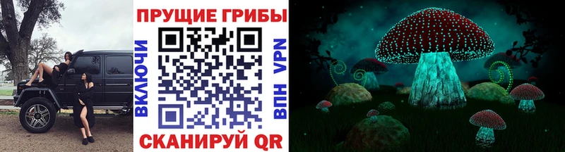 Галлюциногенные грибы ЛСД  Волчанск 