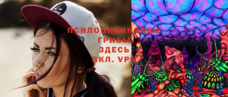 Галлюциногенные грибы Magic Shrooms  Волчанск 